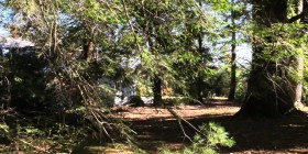 The forests in North Carolina were the backdrop for The Hunger Games